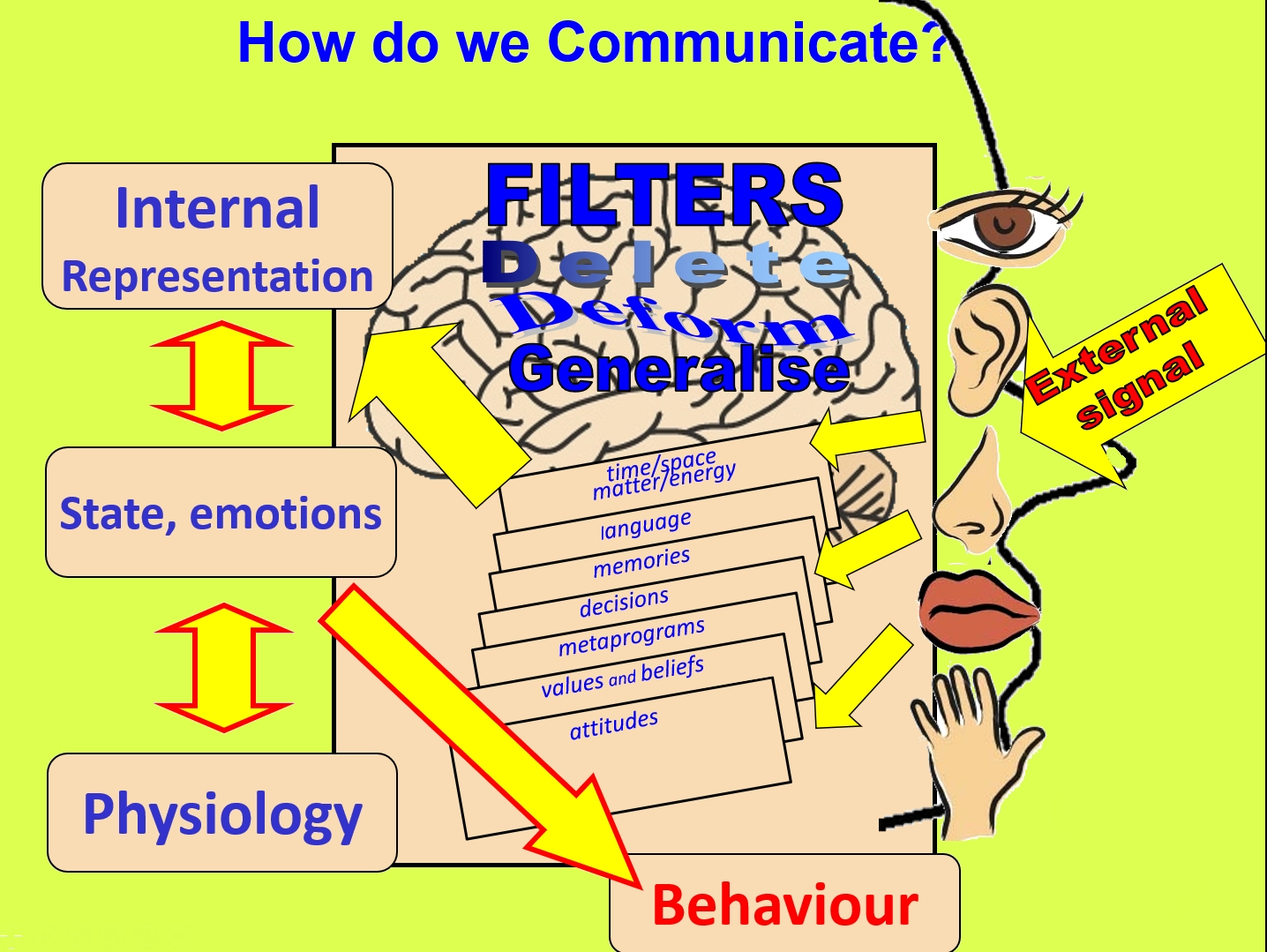 Using Sensory Awareness to Get a Moment's Peace – Consult QD